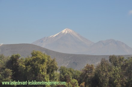 11 PAYSAGES (1) (1280x850)