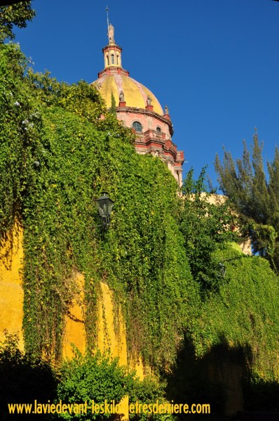 7 San Miguel (9) (850x1280)