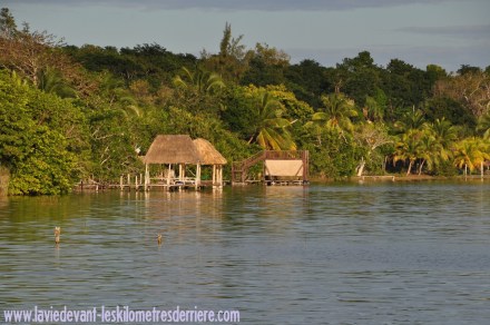 1 Buenavista (4) (1280x850)