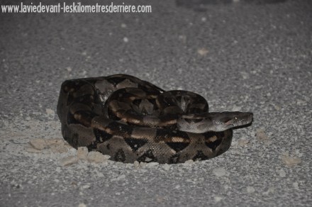 2 Bacalar (3) (1280x850)