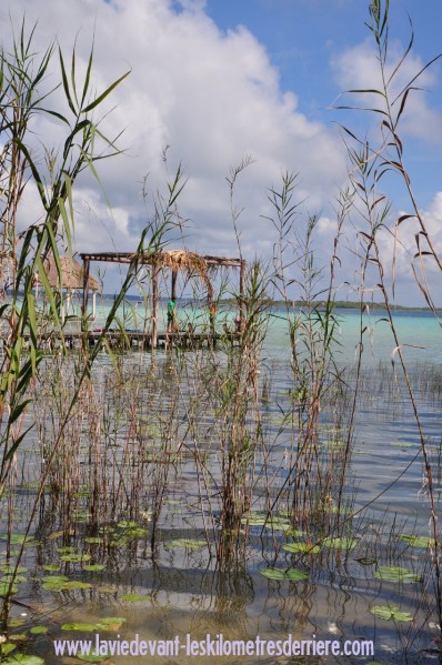 2 Bacalar (6) (850x1280)