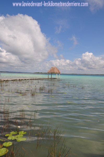 2 Bacalar (7) (850x1280)