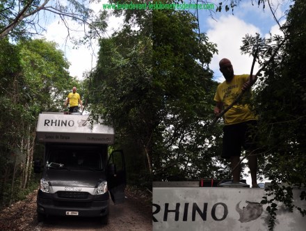 3 route Calakmul (1280x966)