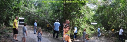 3 route Calakmul 3 (1280x425)