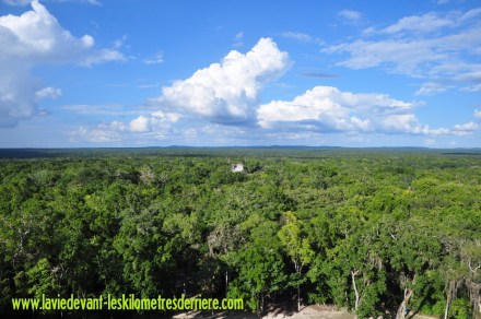 4 Calakmul (16) (1280x850)