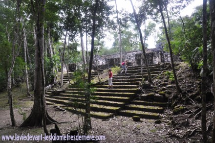 4 Calakmul (9) (1280x850)