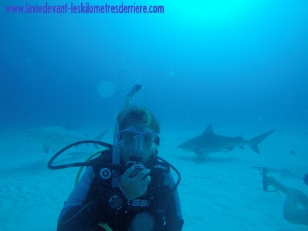 ???????????????????????