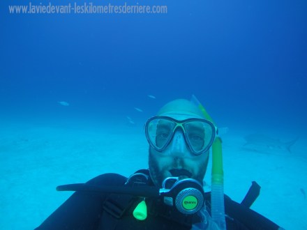 ???????????????????????