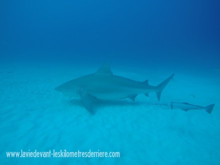 ???????????????????????