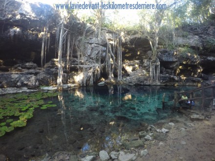 ???????????????????????