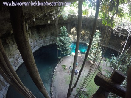 ???????????????????????