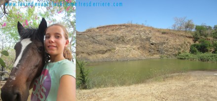 ???????????????????????????????