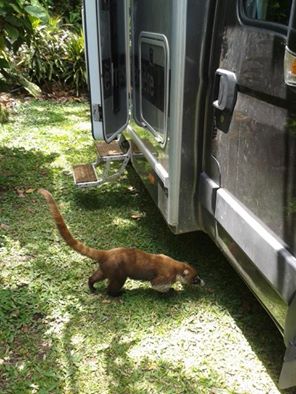 11128155_10206771676394911_7589357604216199272_n