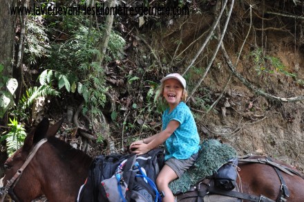 ????????????????????????????????????