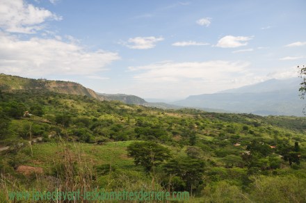 ????????????????????????????????????