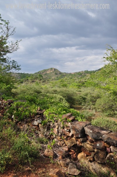 ????????????????????????????????????