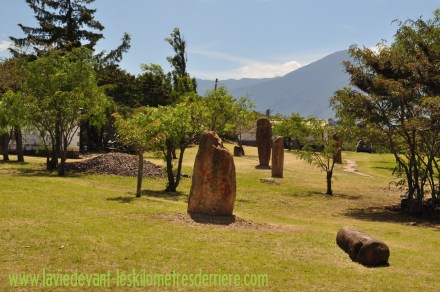 ????????????????????????????????????