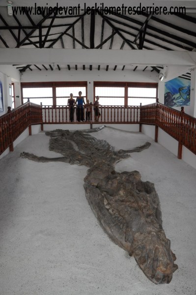 ????????????????????????????????????