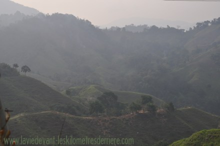 ????????????????????????????????????