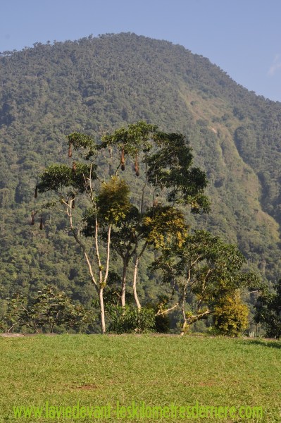 ????????????????????????????????????