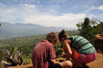 ????????????????????????????????????