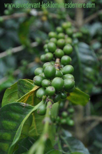 ????????????????????????????????????