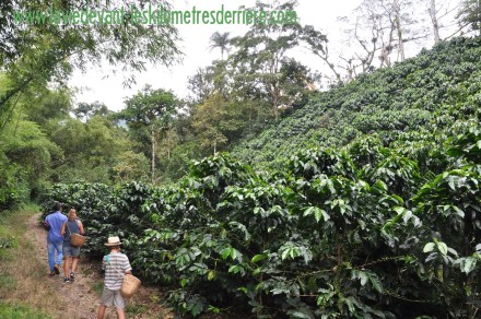 ????????????????????????????????????