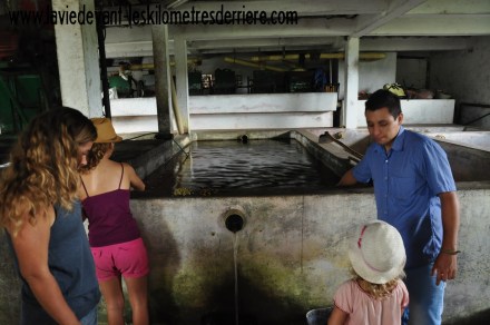 ????????????????????????????????????