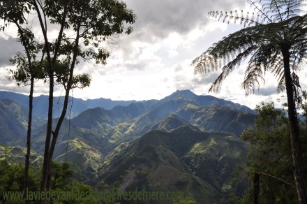 ????????????????????????????????????