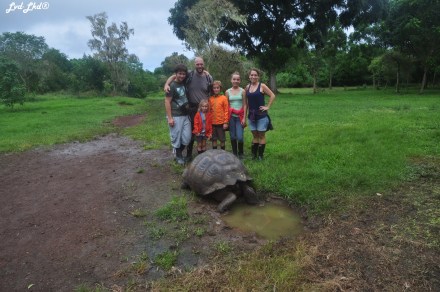 ????????????????????????????????????