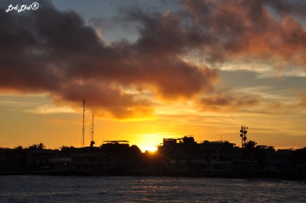 ????????????????????????????????????