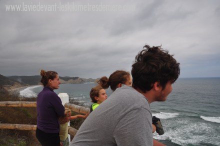 ????????????????????????????????????