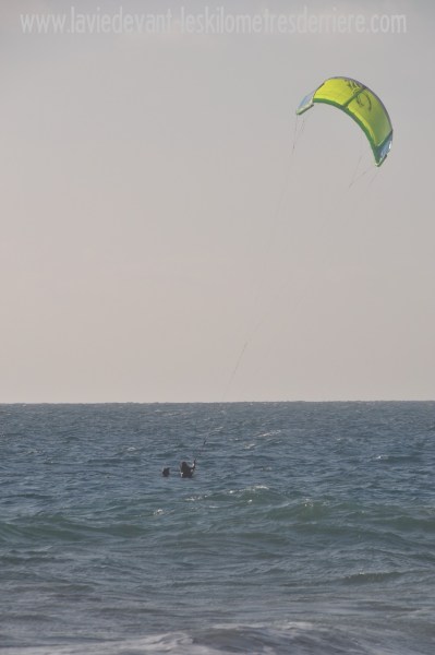8 kite (2)