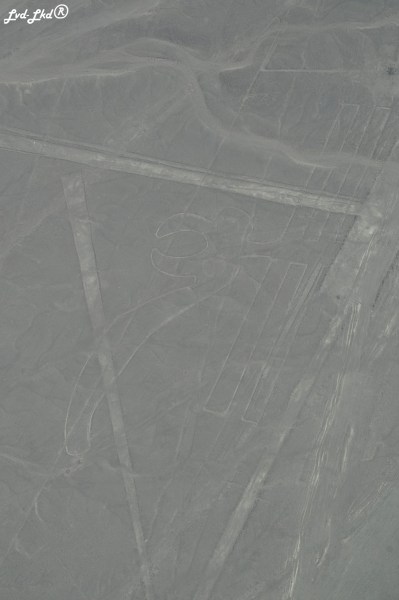 11 Nasca (10)