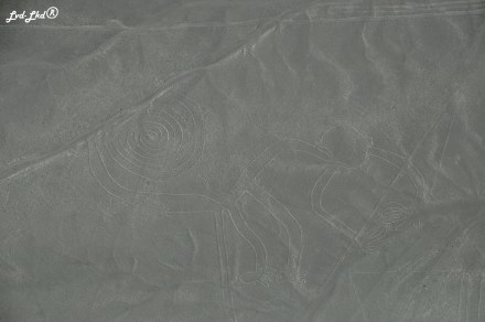11 Nasca (5)