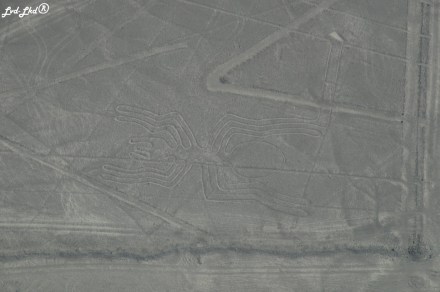 11 Nasca (8)