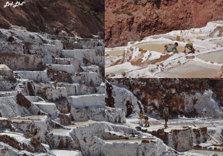 3 enfants salines (3)