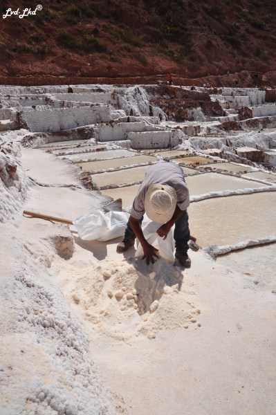 4 travailleur dalines (3)