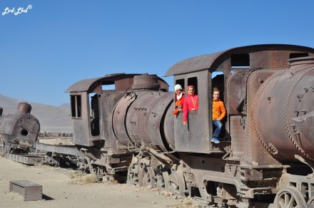 1 cimetière des trains (3)