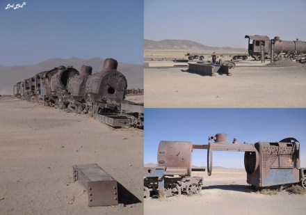 1 cimetière des trains (4)