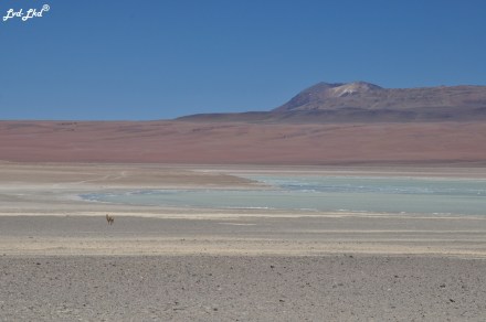 6 laguna blanca (2)