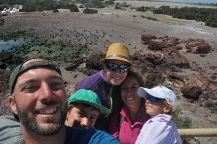 5 Hors et Bagarre (2)