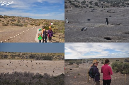 5 Hors et Bagarre (6)