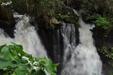 5 Iguazu Inférieur (1)