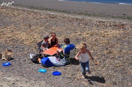 6 baleines 3 et jeu (2)