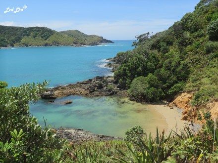 11 matai bay (5)