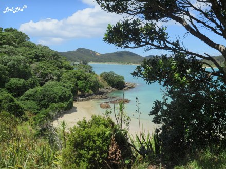11 matai bay (6)