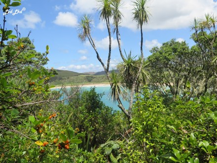 11 matai bay (8)