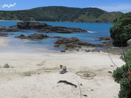 11 matai bay (9)