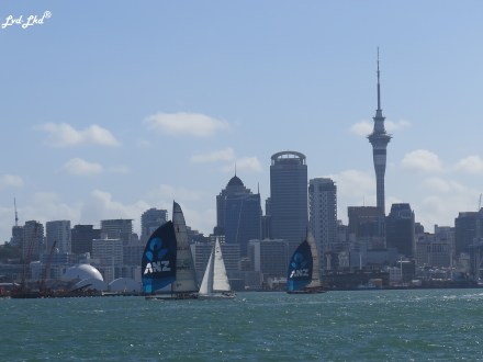5 Auckland (1)